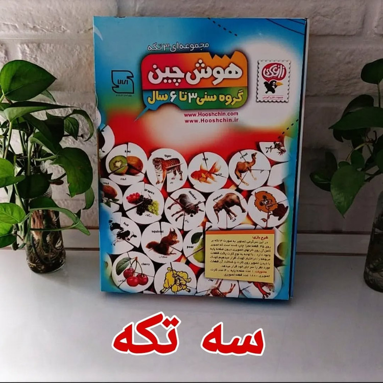 هوش چین سه تکه