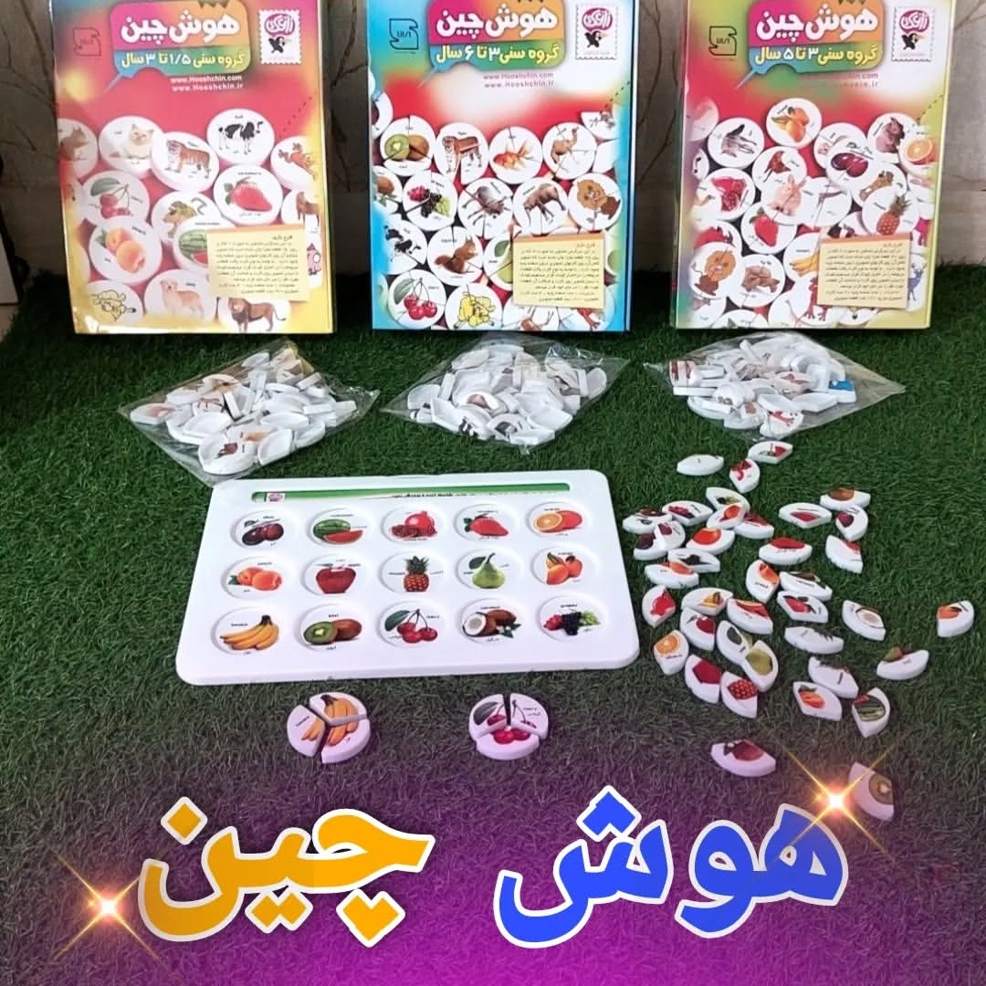 هوش چین