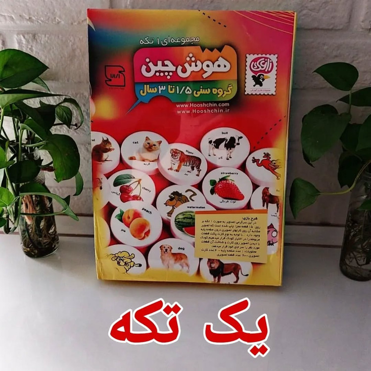 هوش چین یک تکه